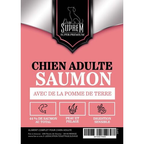 CHIEN ADULTE SAUMON