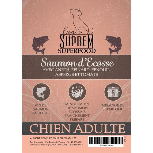 ADULTE SAUMON D'ECOSSE